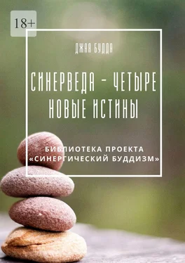 Джая Будда Синерведа – четыре новые истины обложка книги