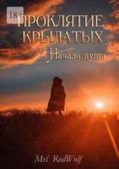 Mel RedWolf - Проклятие Крылатых. Начало Пути