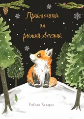 Робин Каэри - Приключения на рыжий хвостик