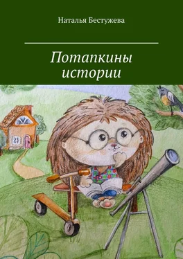 Наталья Бестужева Потапкины истории обложка книги