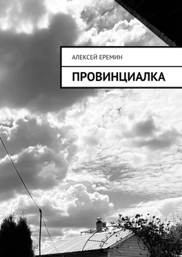 Алексей Еремин Провинциалка обложка книги