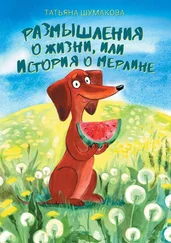 Татьяна Шумакова - Размышления о жизни, или История о Мерлине