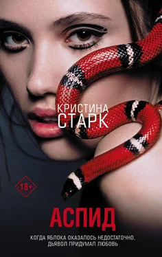 Кристина Старк Аспид обложка книги