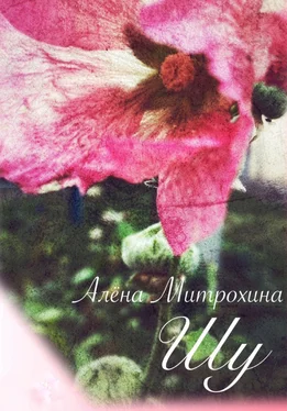 Алёна Митрохина Шу обложка книги