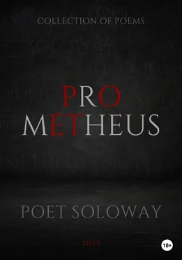 Poet SoloWay Prometheus обложка книги