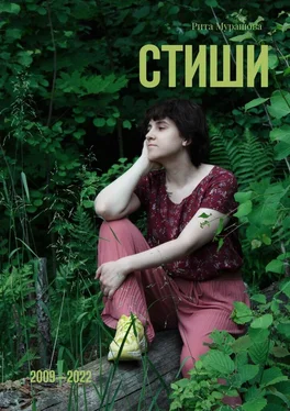 Рита Мурашова Стиши. 2009—2022 обложка книги