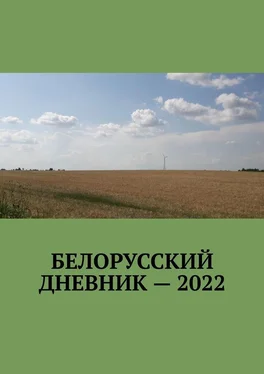 Владимир Кулик Белорусский дневник – 2022 обложка книги