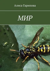 Алиса Гарипова - Мир