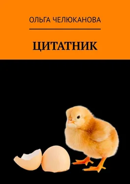 Ольга Челюканова Цитатник обложка книги