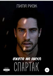 Лиля Ризк - Охота на акул. Спартак