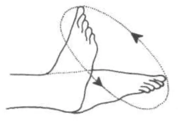 Вращение стопамикруговые движения стоп по часовой и против часовой стрелки - фото 6