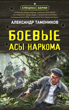 Александр Тамоников Боевые асы наркома обложка книги