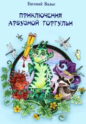 Евгений Вальс - Приключения арбузной горгульи