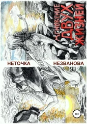 Неточка Незванова - Мгновение двух жизней