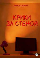 Кирилл Зоркий - Крики за стеной