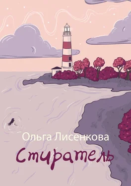 Ольга Лисенкова Стиратель обложка книги