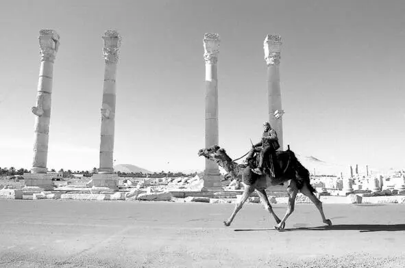 Когда мы сошли с автобуса в центре сирийского города Тадмор что в - фото 15