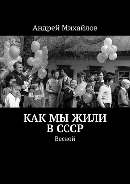 Андрей Михайлов Как мы жили в СССР. Весной обложка книги