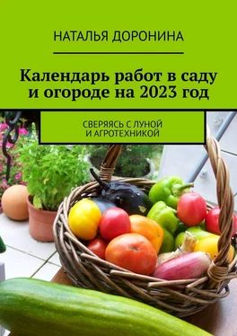 Наталья Доронина Календарь работ в саду и огороде на 2023 год. Сверяясь с Луной и агротехникой обложка книги