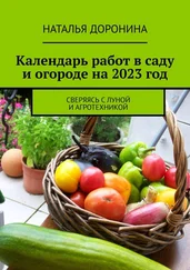 Наталья Доронина - Календарь работ в саду и огороде на 2023 год. Сверяясь с Луной и агротехникой