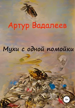 Артур Вадалеев Мухи с одной помойки обложка книги