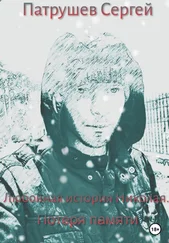 Сергей Патрушев - Любовная история Николая. Потеря памяти
