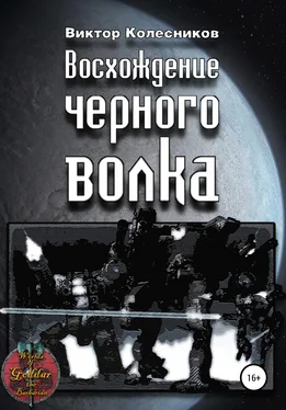 Виктор Колесников Восхождение черного волка обложка книги
