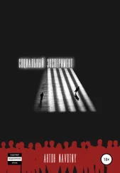 Антон Navotny - Социальный эксперимент