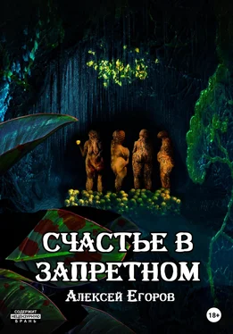 Алексей Егоров Грех извне 2: Счастье в запретном