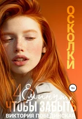 Виктория Побединская - 48 минут, чтобы забыть. Осколки