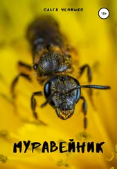 Ольга Чепишко - Муравейник