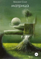 Винсент Смит - Матрица
