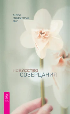 Мэри Энджелон Янг Искусство созерцания обложка книги
