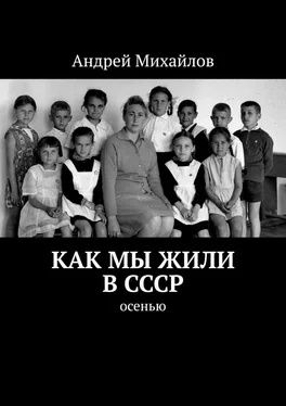 Андрей Михайлов Как мы жили в СССР. Осенью обложка книги