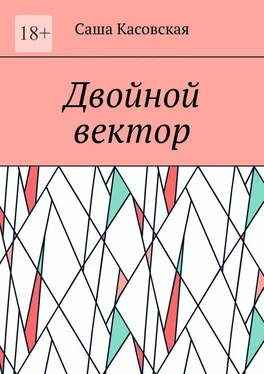Саша Касовская Двойной вектор обложка книги