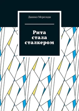 Даниил Мересиди Рита стала сталкером обложка книги