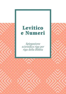 Andrey Tikhomirov Levitico e Numeri. Spiegazione scientifica riga per riga della Bibbia обложка книги