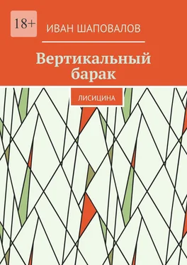 Иван Шаповалов Вертикальный барак. Лисицина обложка книги