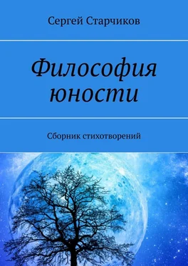 Сергей Старчиков Философия юности. Сборник стихотворений обложка книги