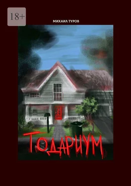 Михаил Туров Тодариум обложка книги