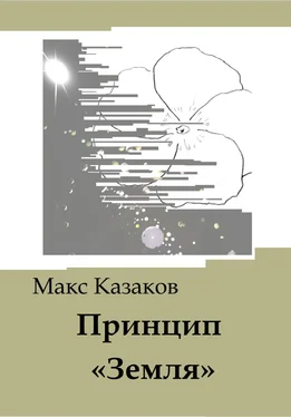 Макс Казаков Принцип «Земля» обложка книги