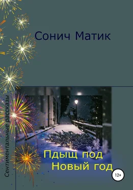 Сонич Матик Пдыщ под Новый год обложка книги