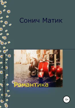 Сонич Матик Романтика обложка книги