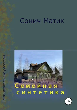 Сонич Матик Семейная синтетика обложка книги