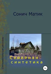 Сонич Матик - Семейная синтетика