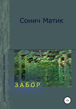 Сонич Матик Забор обложка книги