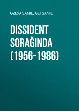 Əzizə Şamil Dissident sorağında (1956-1986) обложка книги