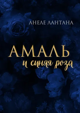 Анеле Лантана Амаль и синяя роза обложка книги