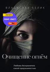 Владислав Белик - Очищение огнём