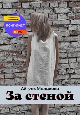 Айгуль Малахова За стеной обложка книги